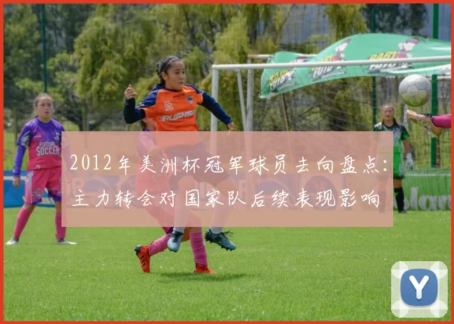 2012年美洲杯冠军球员去向盘点:主力转会对国家队后续表现影响